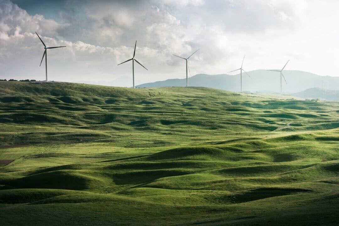 Green field with windmills on the horizon
